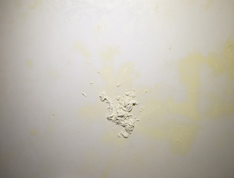 캔버스와 물감의 관계 · 캔버스에 유채, 피임용 콘돔 오브제 · 72.7x90.9cm · 2020 · Intercourse of surface and medium · Oil color on Canvas, Contraceptive Objet