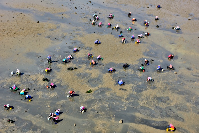 갯벌 촬영장소 · Mudflat filming location