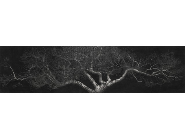 달빛 MOONSCAPE · 캔버스에 목탄 · 227×910cm · 2016 · MOONSCAPE · Charcoal on Canvas