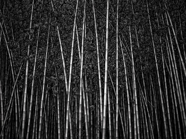 저 너머(BEYOND THERE) · 캔버스에 목탄 · 291×364cm · 2006 · BEYOND THERE · Charcoal on Canvas