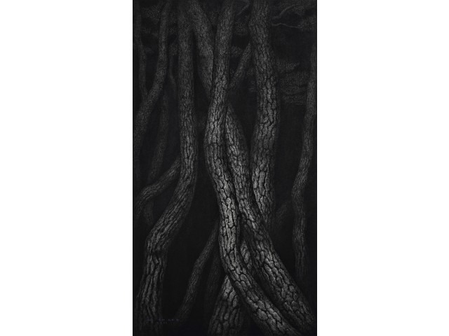 달빛 MOONSCAPE · 캔버스에 목탄 · 162x90cm · 2011 · MOONSCAPE · Charcoal on Canvas