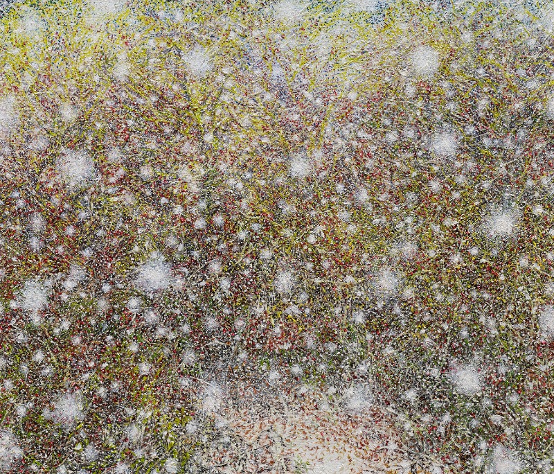 허수영, 숲 · 캔버스에 유채 · 45.5x53cm · 2018 · Heo Soo-young · Oil on canvas