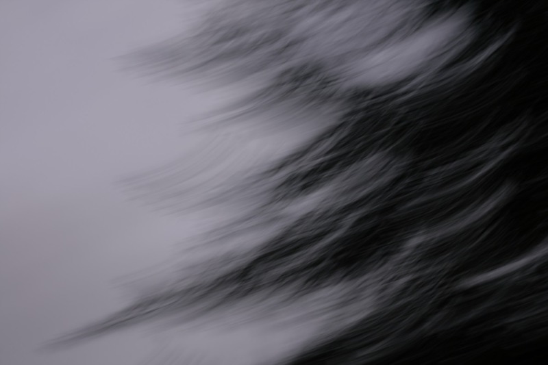 전시 전경 1