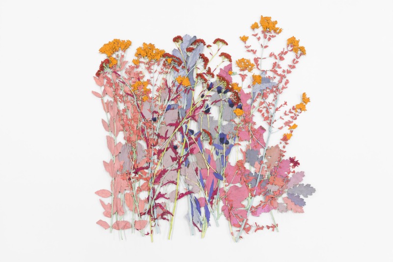 Papier de Provence · Pressed plants, watercolor, frame · 70x80cm · 2019 [출처] 가나아트 홈페이지 · Papier de Provence · Pressed plants, watercolor, frame
