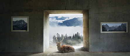 in the forest · digital print · 50x116.8cm · 2016 · in the forest · digital print
