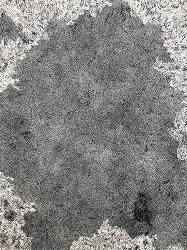 박자현 - 얼굴들 2 · 21.5x28cm · 21.5x28cm · 2005