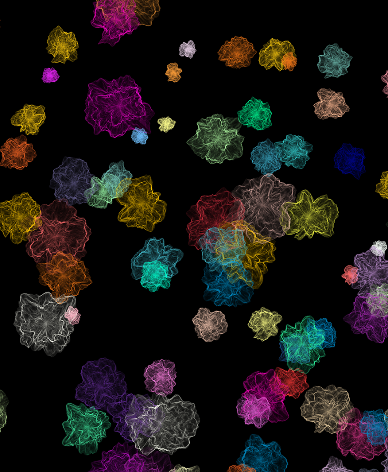 김하준_flower · mixed media · 가변설치 · 2020 · flower · mixed media
