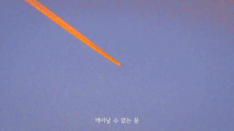 <야생 속으로> · 단채널 영상 · 00:12:00 · 2020  [출처]한국문화예술위원회 홈페이지 · 〈Into the wild〉 · Single Channel Video