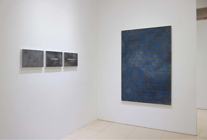 installation views