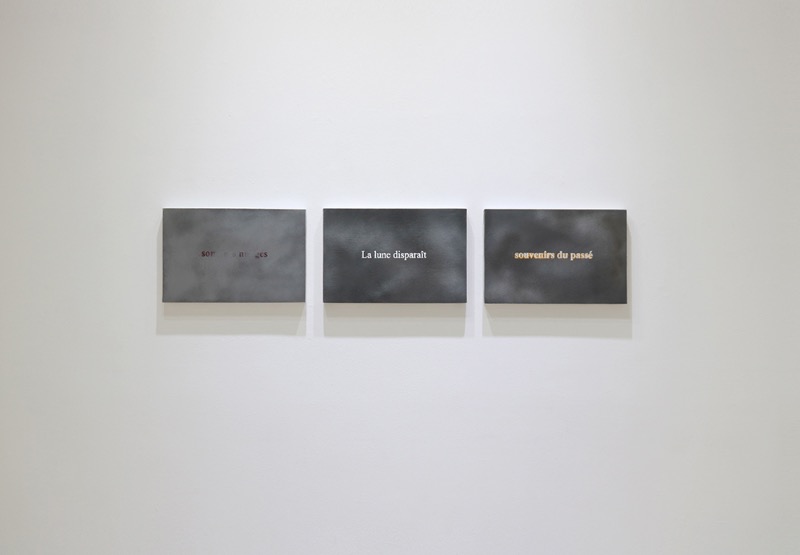 installation views