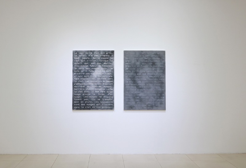 installation views
