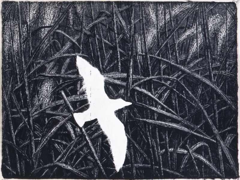 새-억새 2006-9(D) · 종이에 먹, 목탄 · 75x57cm · 2007