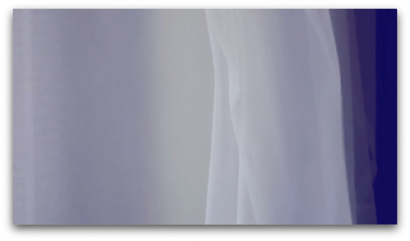 Caesar □□ · Single Channel Video, 12’ 00”, Two Channel Video, loop · 2019