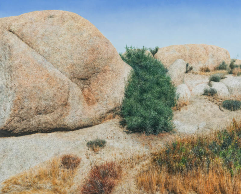 Untitled 2582 · Oil on canvas · 130.3 x 162.2 cm · 2019 · Untitled 2582 · Oil on canvas