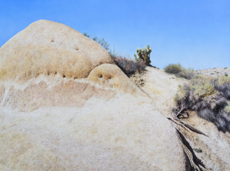 Untitled 6110 · Oil on canvas · 97 x 130.3 cm · 2019 · Untitled 6110 · Oil on canvas
