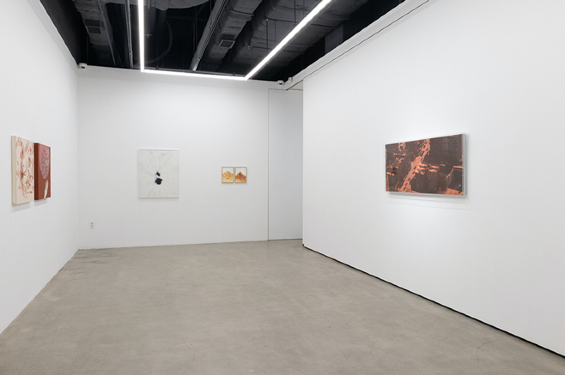 installation views · 2020