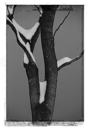 I WAS WATING FOR YOU · woodenframe · 240x160cm · 2010 · I WAS WAITING FOR YOU · woodenframe