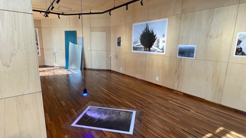 installation views