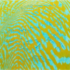 Light Lines · acrylic & phosophorescent pigment, · 218x218cm · 2018 · Light Lines · acrylic & phosophorescent pigment,