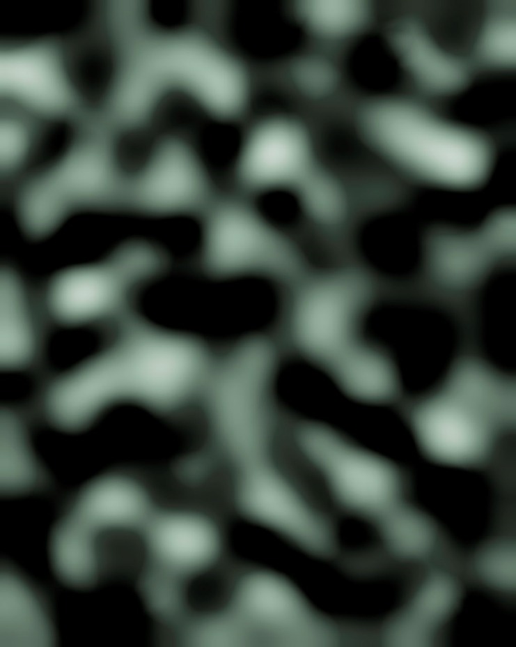 #373f37 · Archival pigment print · 104 x 130cm · 2019  © SongEun Art and Cultural Foundation and the Artist. All rights reserved · #373f37 · Archival pigment print