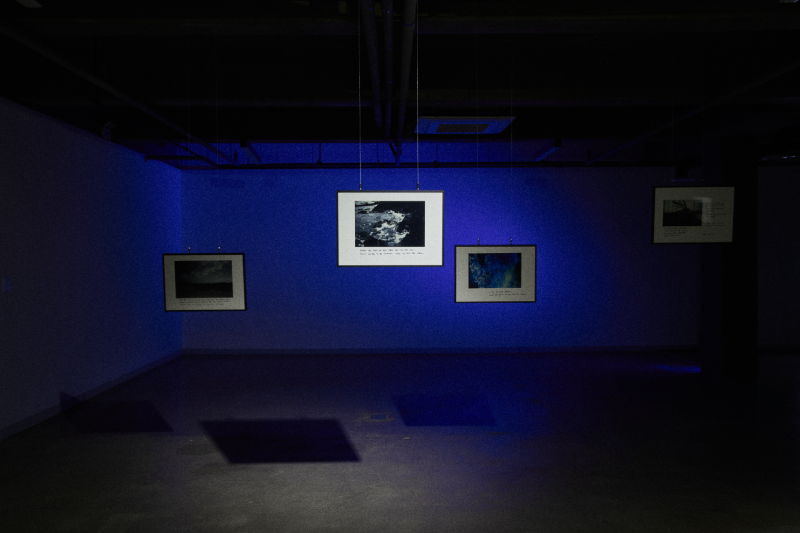 (the untitled void 제공)