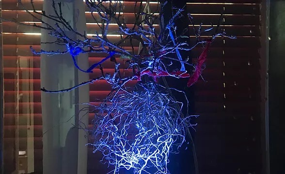 탄생 · mixed media · size variable · 2021 (출처= 호랑가시나무 창작소) · Birth · mixed media