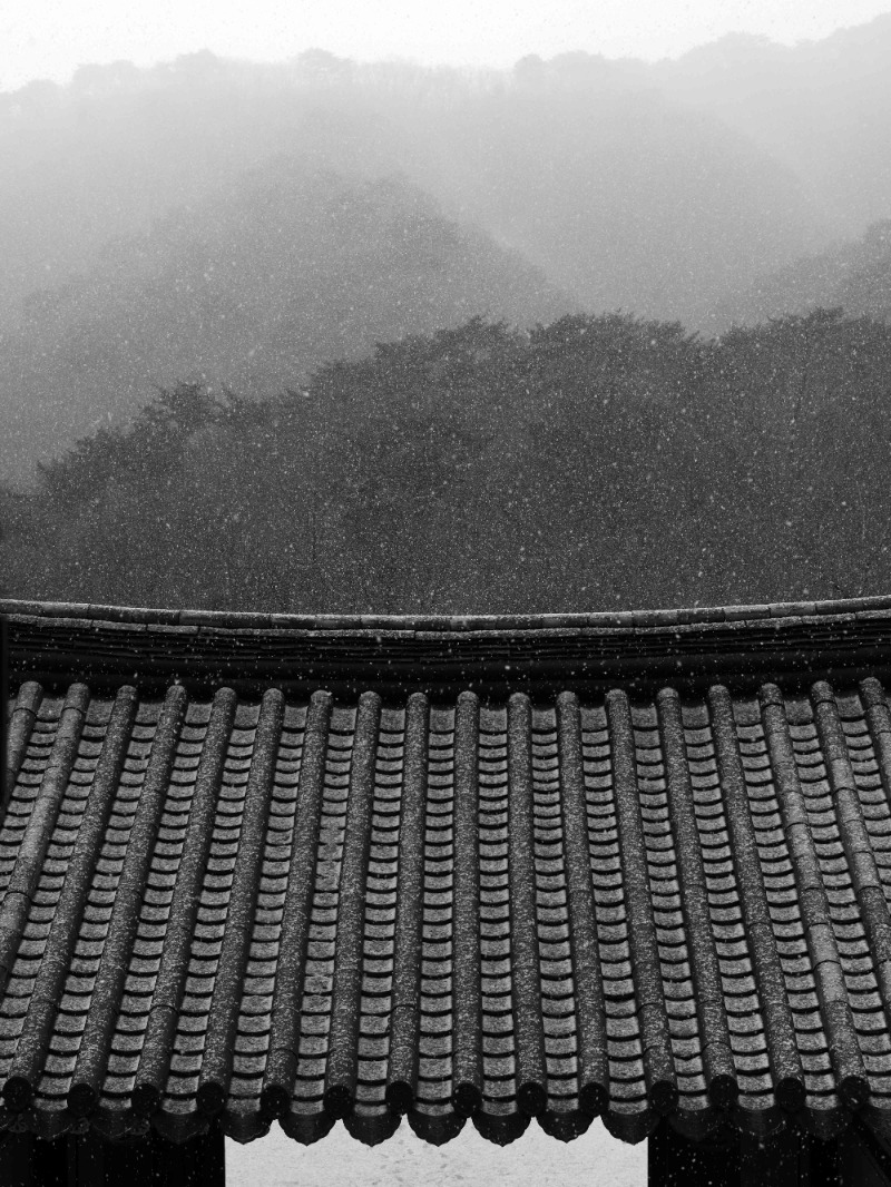 Cheongpyeongsa I · Archival Pigment Print · 148x111cm, Ed. of 7+2AP · 2016 (이미지 제공 = JJ중정갤러리) · Cheongpyeongsa I · Archival Pigment Print