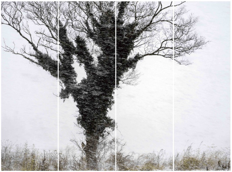 Hado · Folding Screen Hanji Print · 188x193cm, Ed. of 7+AP 2 · 2016 (이미지 제공 = JJ중정갤러리) · Hado · Folding Screen Hanji Print