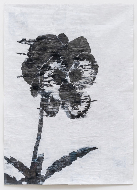 Skullflower · Pencil, watercolor, wallpaint on newspaper · 155 x 111 cm · 2020 (출처= PKM갤러리) · Skullflower · Pencil, watercolor, wallpaint on newspaper
