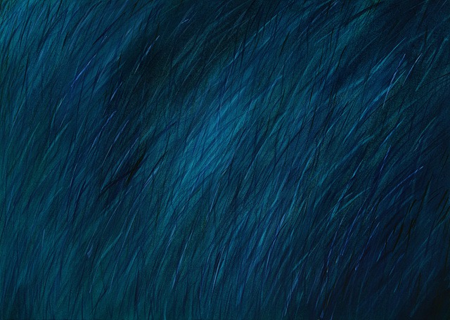 A_thousand winds · Tempera · 90x65x2cm · 2020 (출처= 갤러리 더 플로우) · A_thousand winds · Tempera