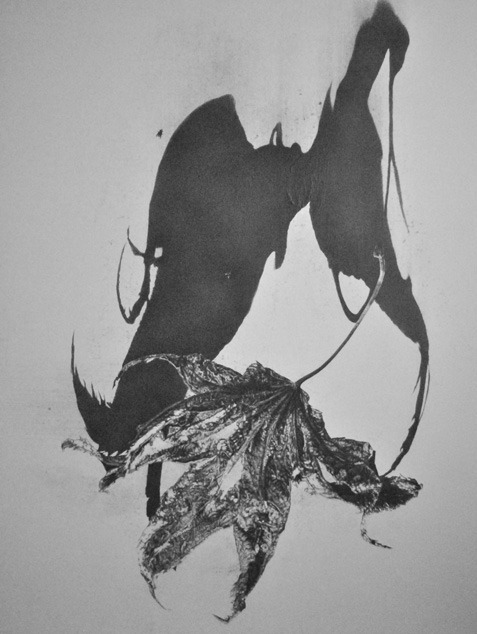 잎-나비 · 연필 · 130.3 x 162.2cm · 2021 (출처= 공갤러리)