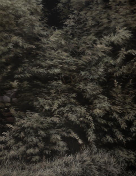 가능한 숲 · Oil on canvas · 116.8 x 91.0cm · 2020 (출처= 교동미술관)