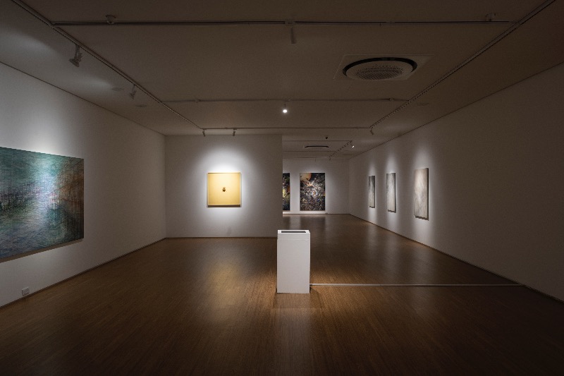 installation views