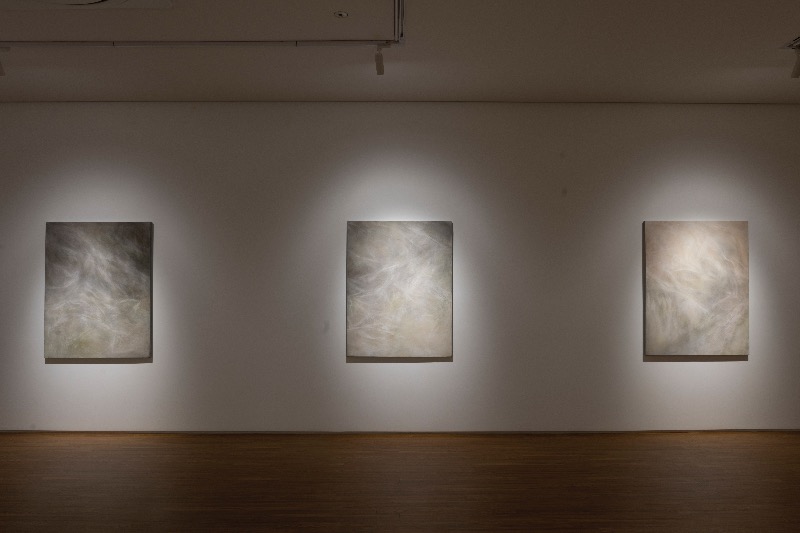 installation views