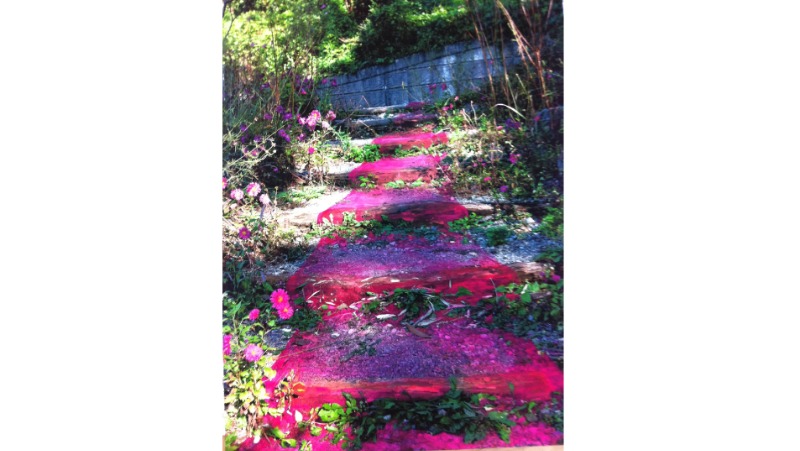 장유정, 합류(合流) · 사진에 페인팅 · 81.3×119.5CM · 2012 (출처= 갤러리박영)