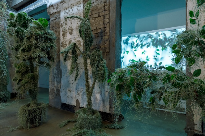 김유정, Floating Island · 인조식물, 틸란드시아, 철사, 가변설치 · 2021 ⓒThe Artists & Art Centre Art Moment · Kim Yujung, Floating Island