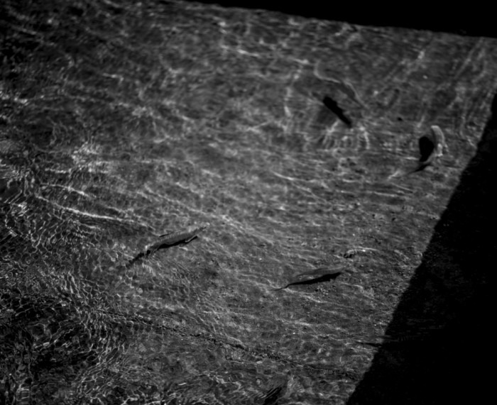 No Named Life #3-1 · 2020 (출처= 비움갤러리) · No Named Life #3-1