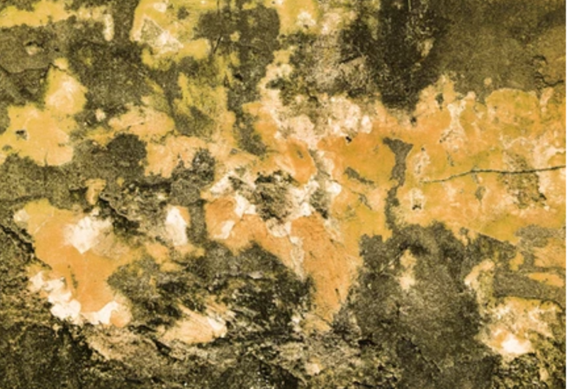 Exhibition Poster