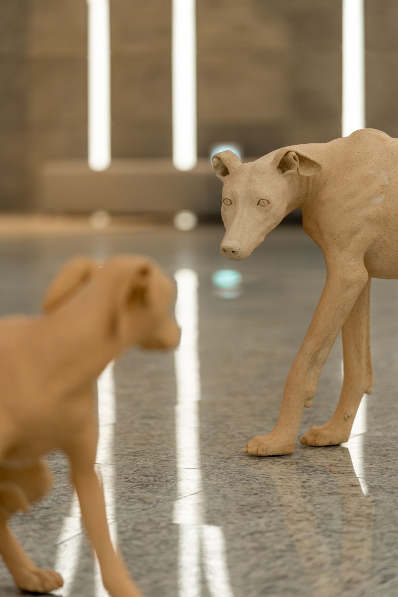 전시전경 · (출처=강아지숲) · installation view