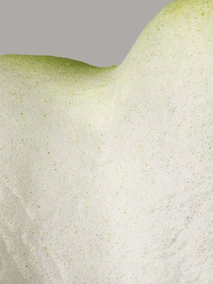 Bumping Surfaces – Calla C · 아카이벌 피그먼트 프린트 · 200 x 150 cm · 2021 (이미지 제공 = 두산갤러리) · Bumping Surfaces – Calla C · Archival Pigment Print