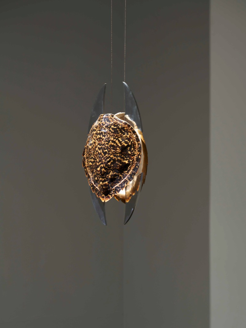 이현우, untitled · Turtle’s Back, Aluminum, Stainless Steel Computed Bolt, Stainless Steel Nut, Stainless Steel Plate · 33x40x75cm · 2021 (이미지 제공 = 유아트스페이스) · Hyunwoo Lee, untitled · Turtle’s Back, Aluminum, Stainless Steel Computed Bolt, Stainless Steel Nut, Sta