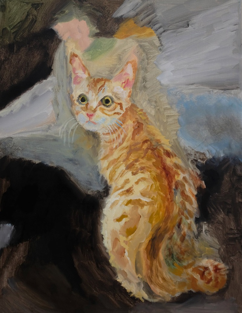 현명한 고양이 · 캔버스에 유채 · 53×40.9cm · 2021 (출처= 플레이스막1) · A Wise Cat