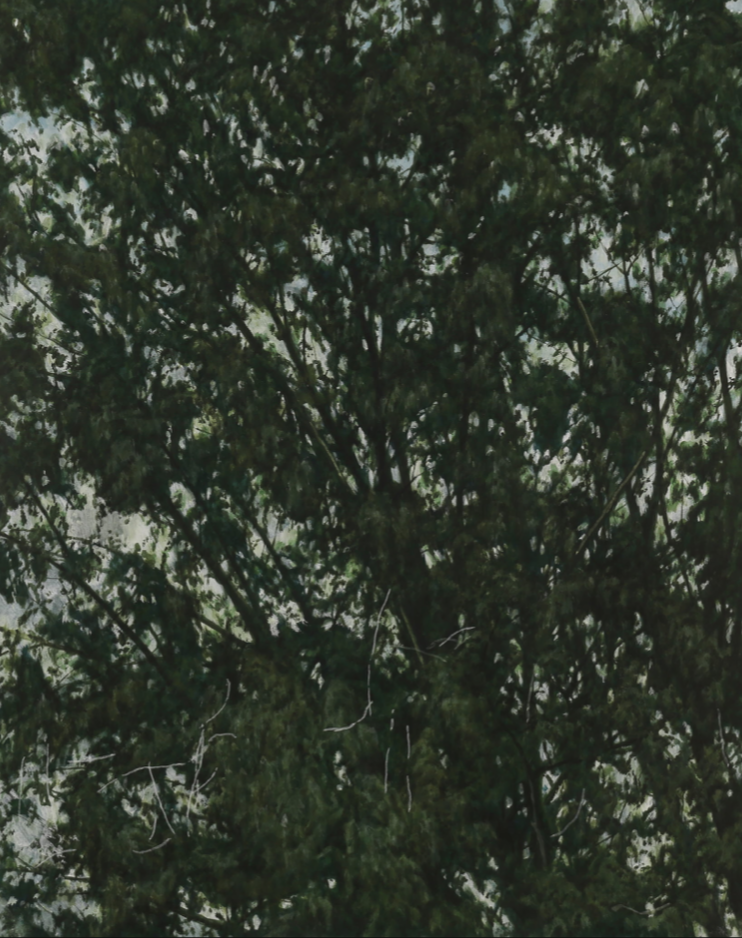 이현호, 나무, 나무 · 한지에 채색 · 91x73cm · 2021 (이미지출처 = 신세계갤러리)