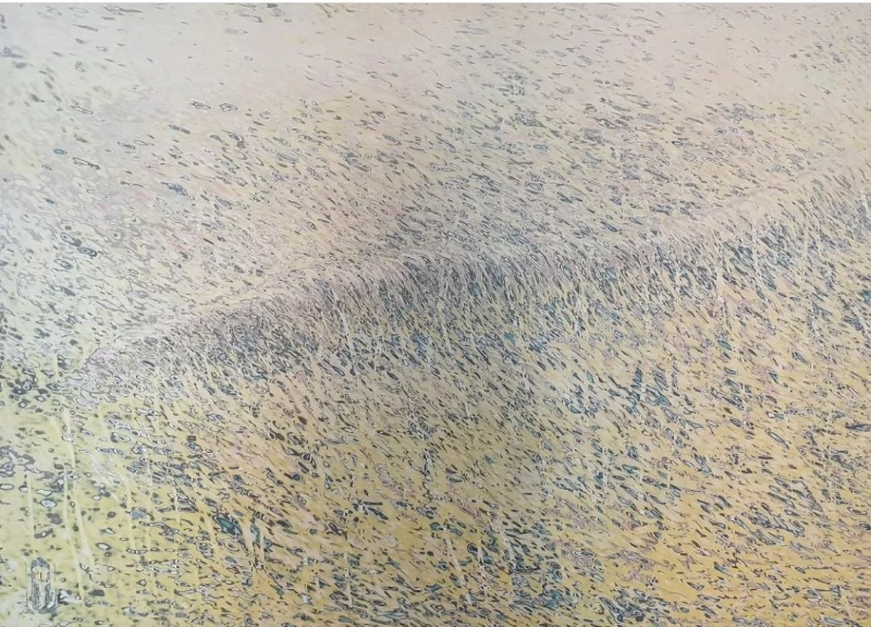 (이미지출처 = 환갤러리)