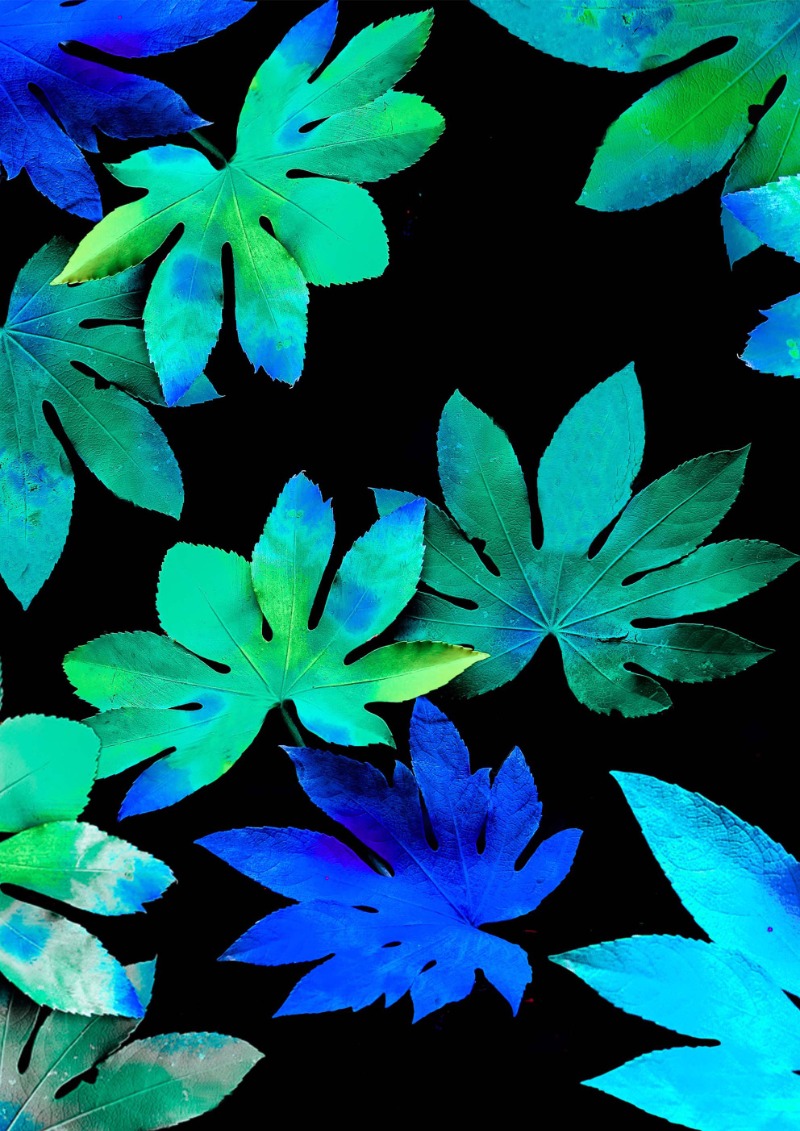 장서원, Dancing leaf · Mixed media Digital Print · 26x34.5cm · 2021 (이미지 제공 = 이길이구갤러리) · Seowon Chang, Dancing leaf · Mixed media Digital Print