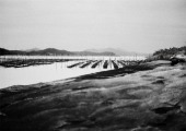 (이미지출처 = 갤러리이즈)