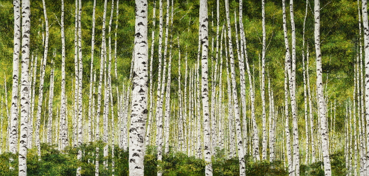 원대리 봄 자작나무 · oil on canvas · 162.2x112.1cmx3ea · 2020
