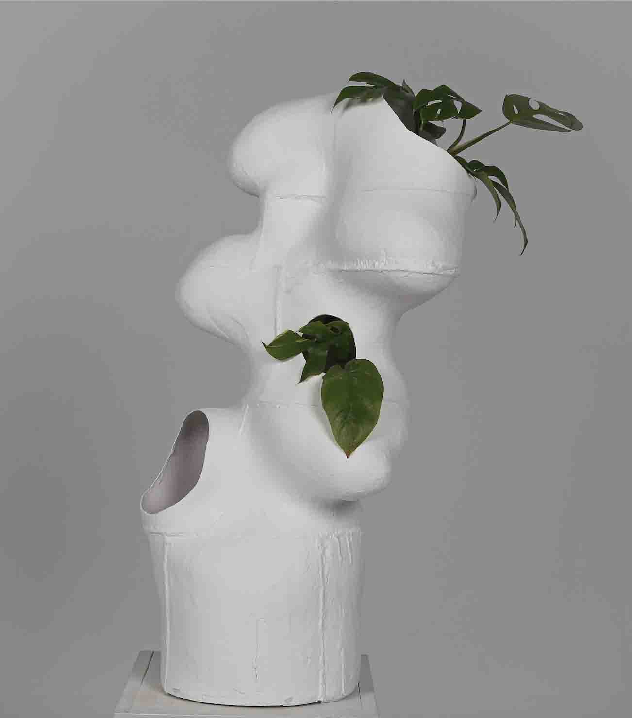 Individual space: Monstera, 6month · 3D print with plant, Photoghraph · - · 2020-2021 (6month) (출처= 사이아트스페이스&사이아트도큐먼트)